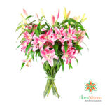 Bunch of pink lilium with online home delivery, in Velletri