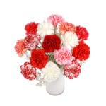 Bouquet of colorful carnations and gypsophila