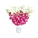 Mazzo di orchidee rosa
