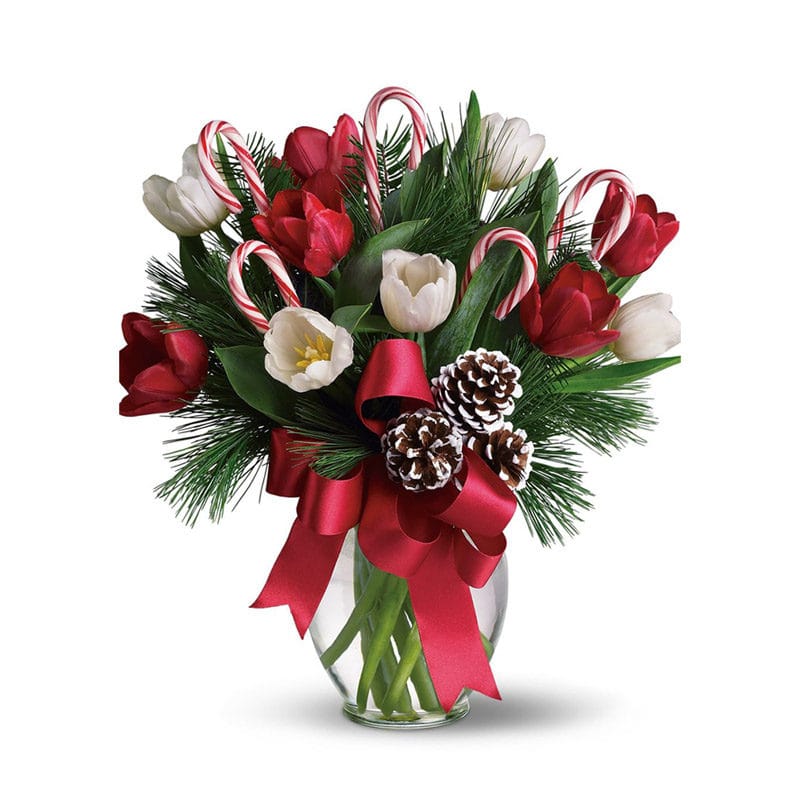 Bouquet natalizio di tulipani