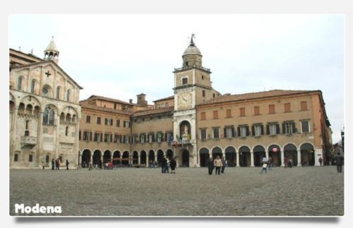 Consegna piante e fiori a domicilioa a modena e provincia