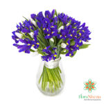 Mazzo di Iris e lisianthus o tulipani